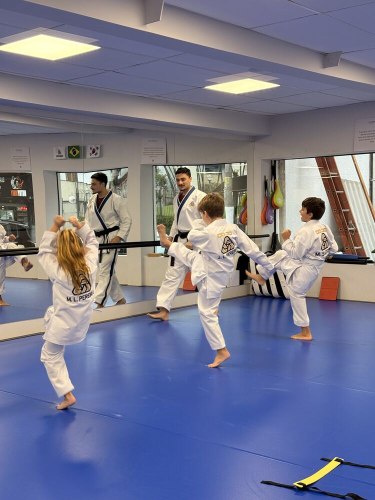 Turma Little Tigers, crianças de 3 a 7 anos, na Dojo Artes Marciais